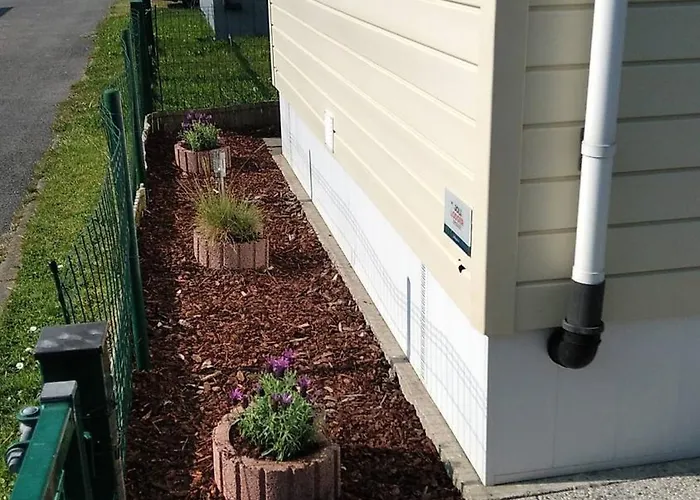 Dans Le Vent * 미들케르케